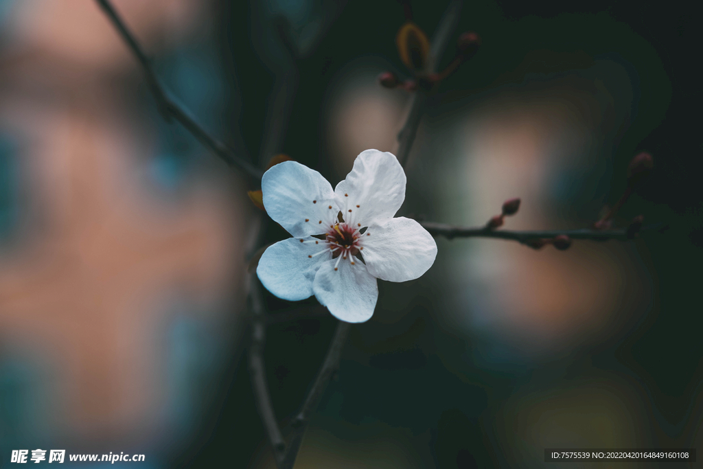 花