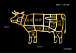 牛肉部位图