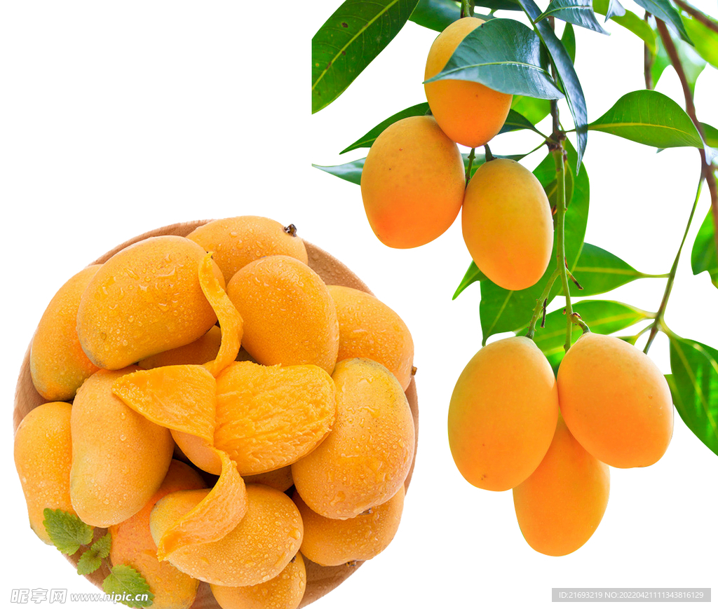 小种芒果