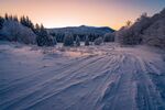 森林雪景
