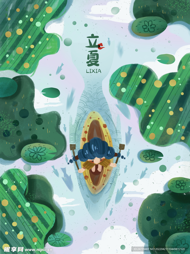 立夏荷花