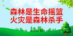 森林是生命摇篮 火灾是森林杀手