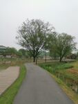 公园