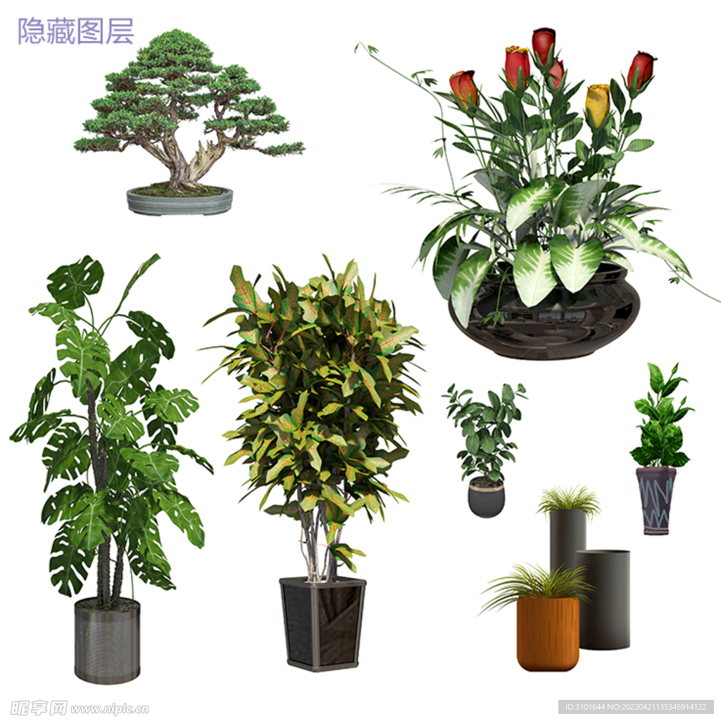 3D盆栽植物