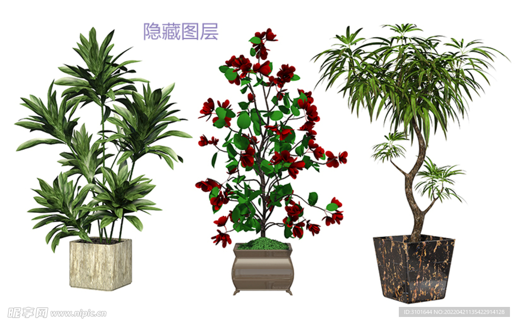 3D盆栽植物