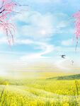 夏天背景