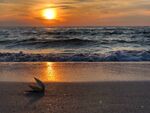 海边