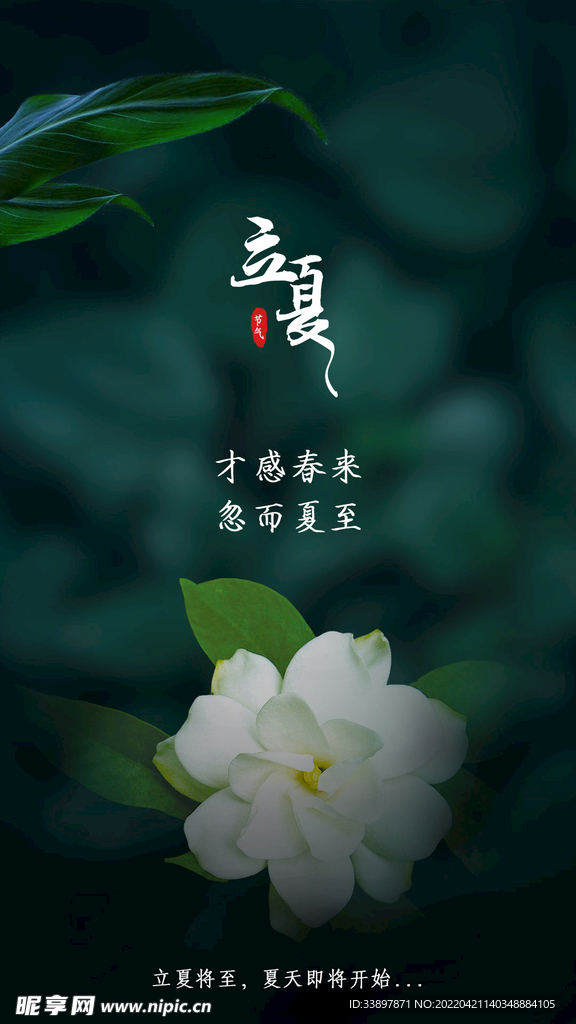 立夏