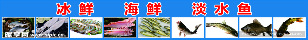 冰鲜    海鲜    淡水鱼