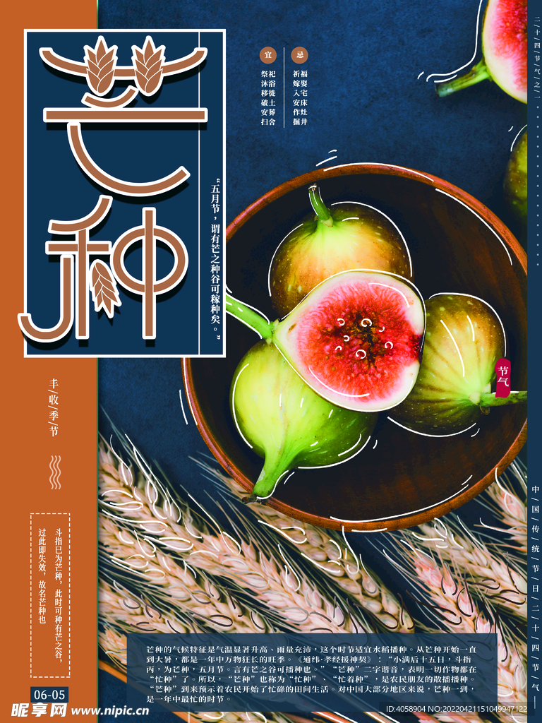 芒种