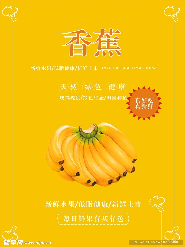 香蕉海报