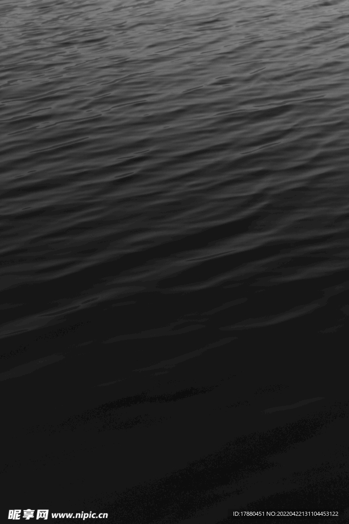 大海