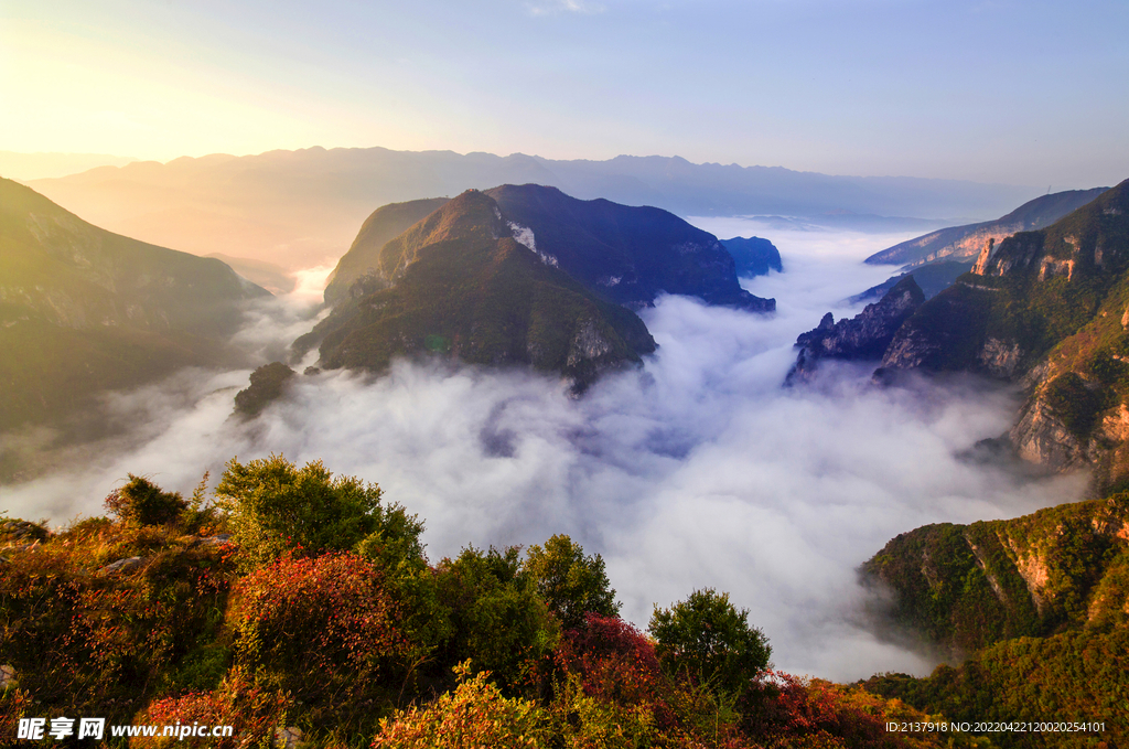 风景
