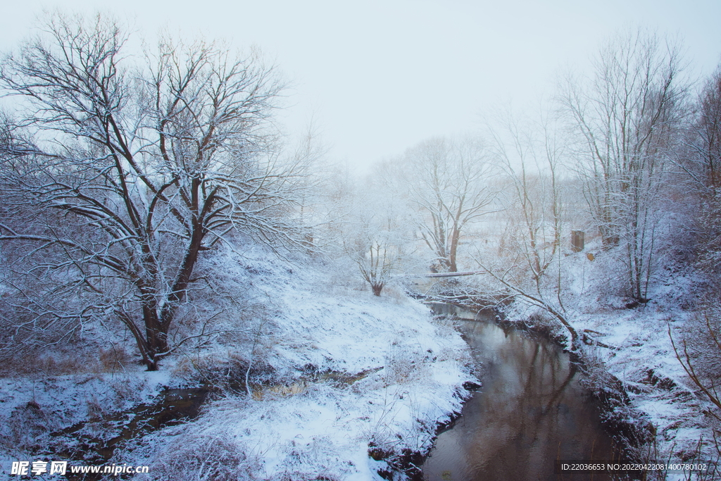 林地雪景