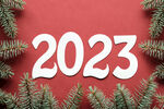 2023字体