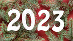2023字体