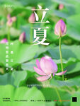 摄影图海报