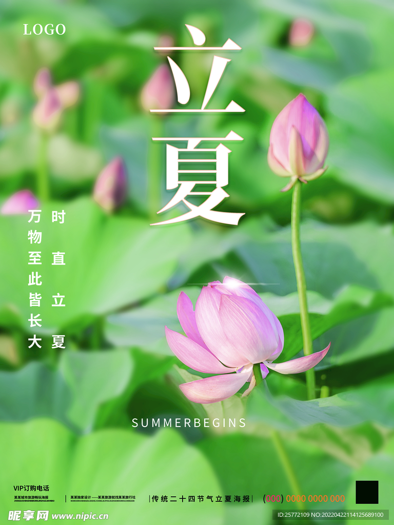 摄影图海报
