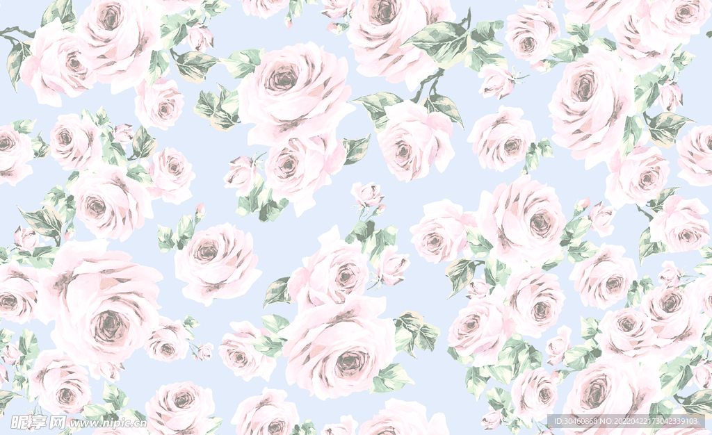 玫瑰花