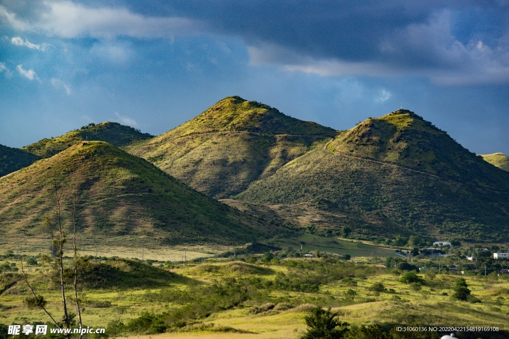 山