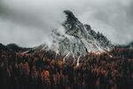 山