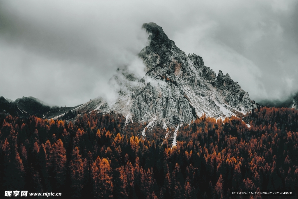 山