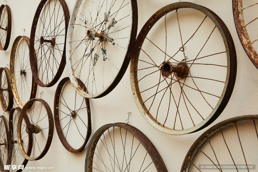 自行车的车轮