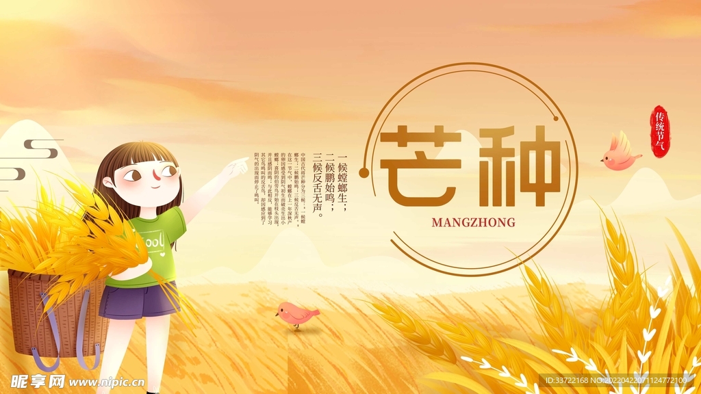 芒种