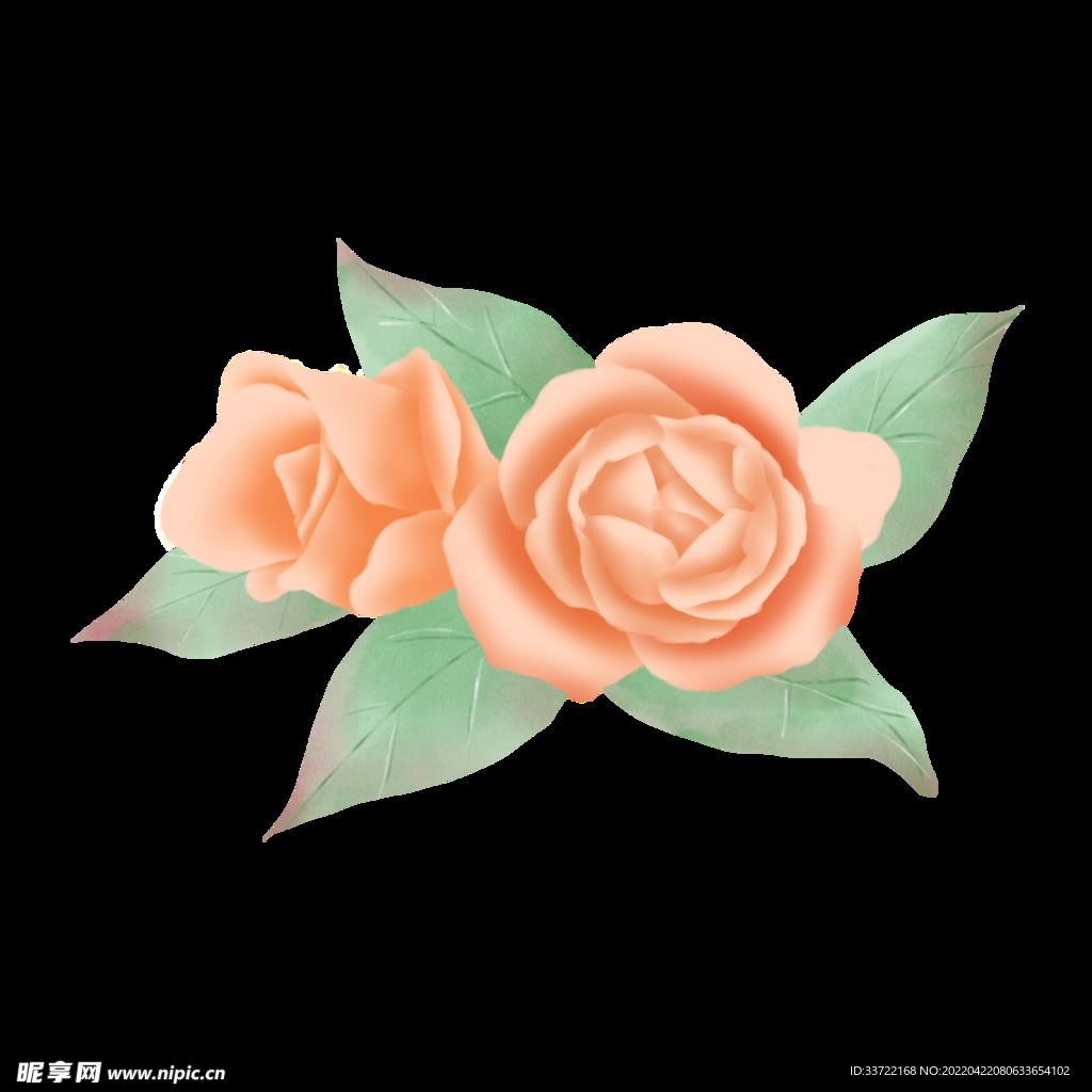 玫瑰花