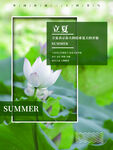 立夏