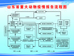 重大动物疫情报告流程图