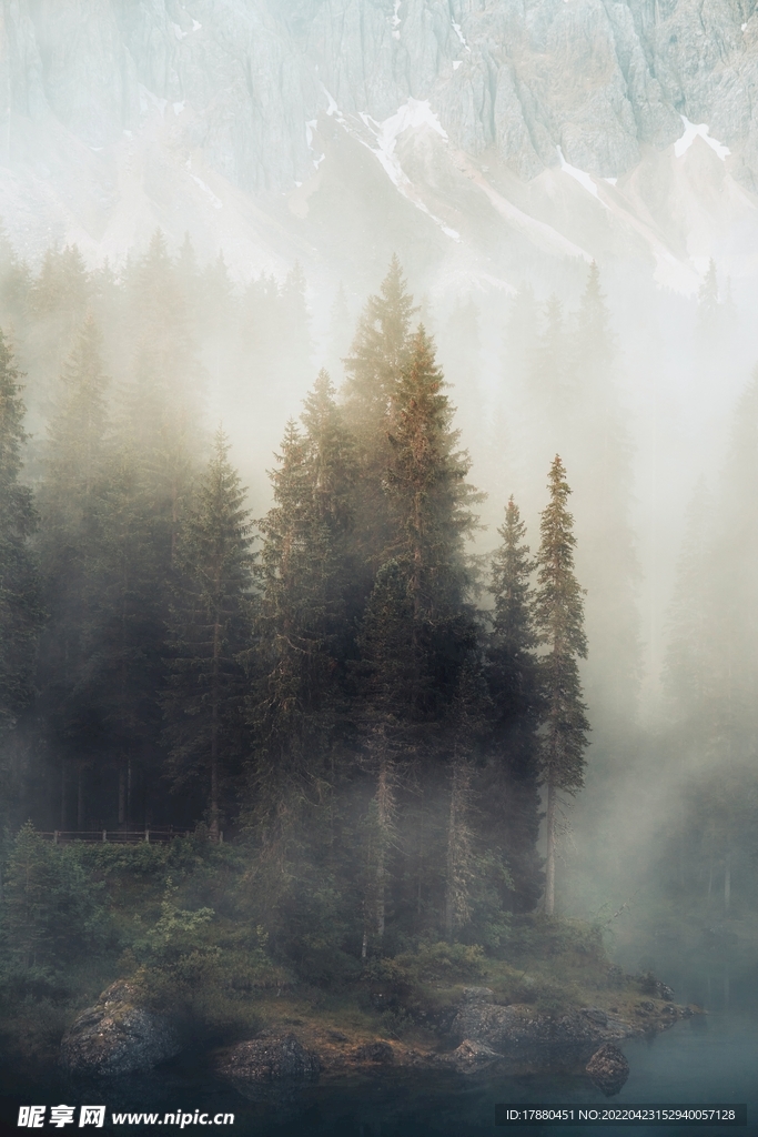 山林