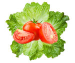 蔬菜