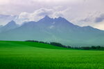山脉草地风景