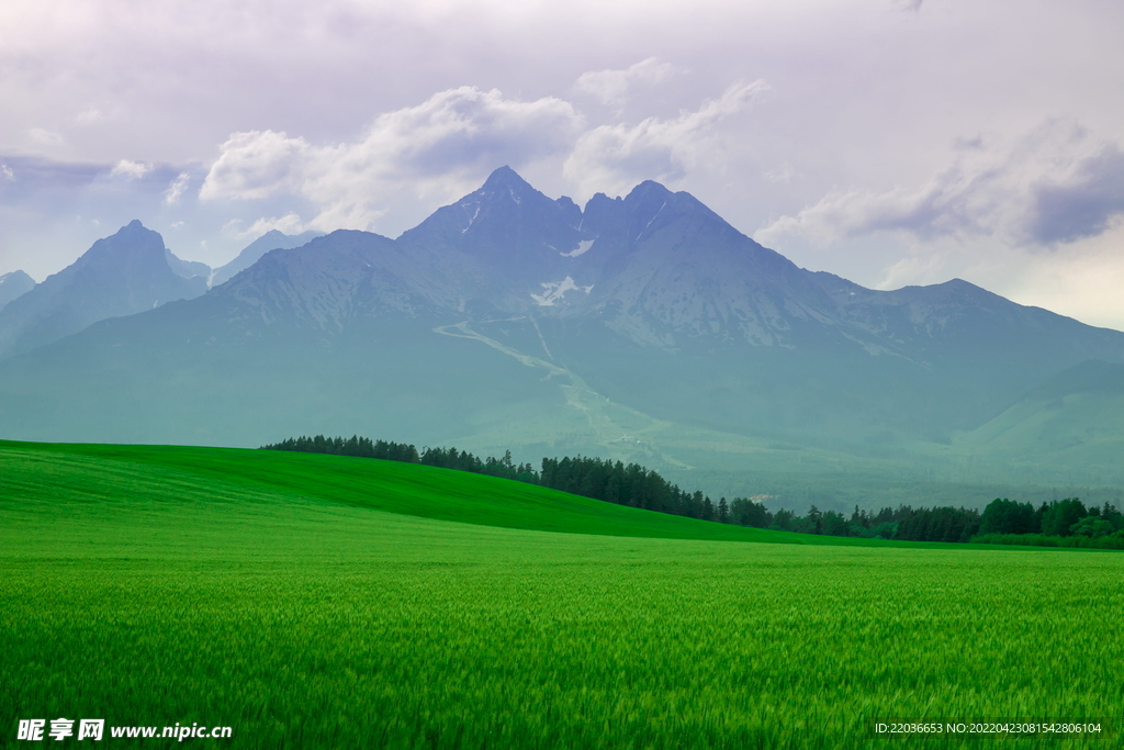 山脉草地风景