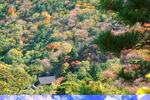 北京香山公园