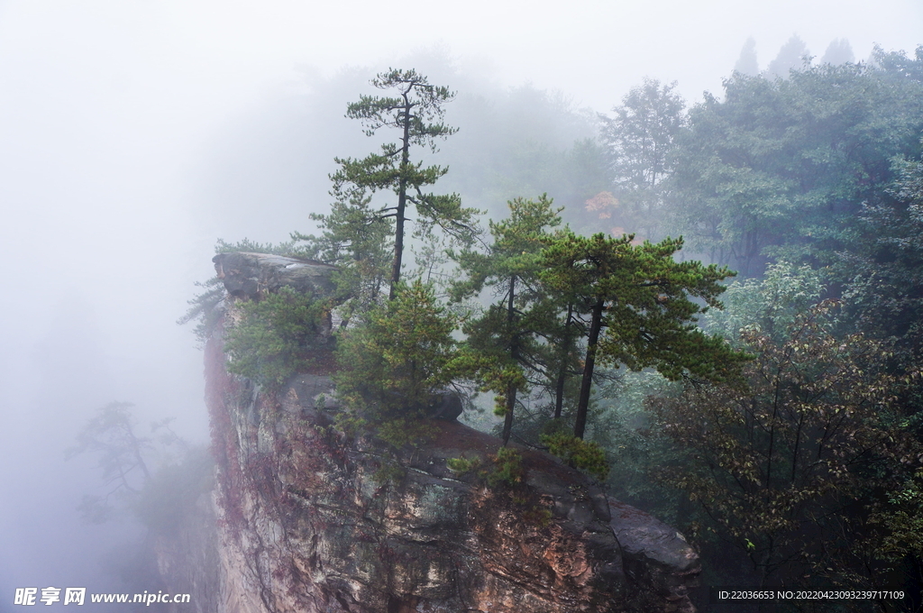 张家界风景