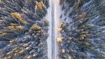 俯视森林雪景