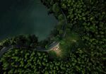 夜晚森林公路