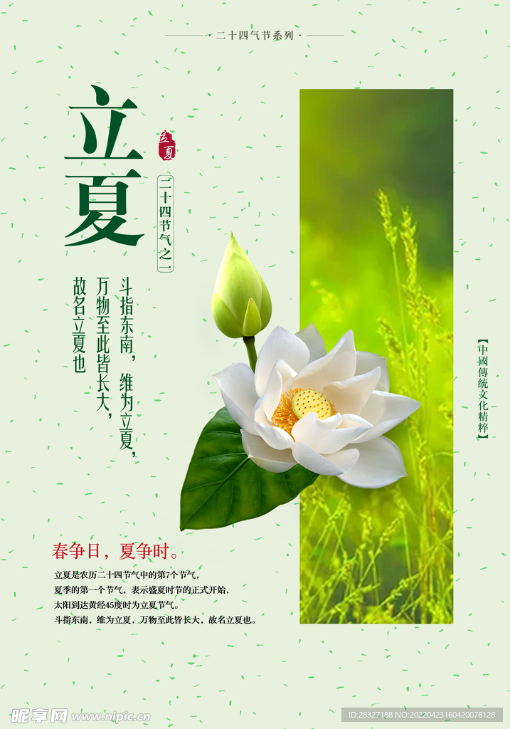 立夏             