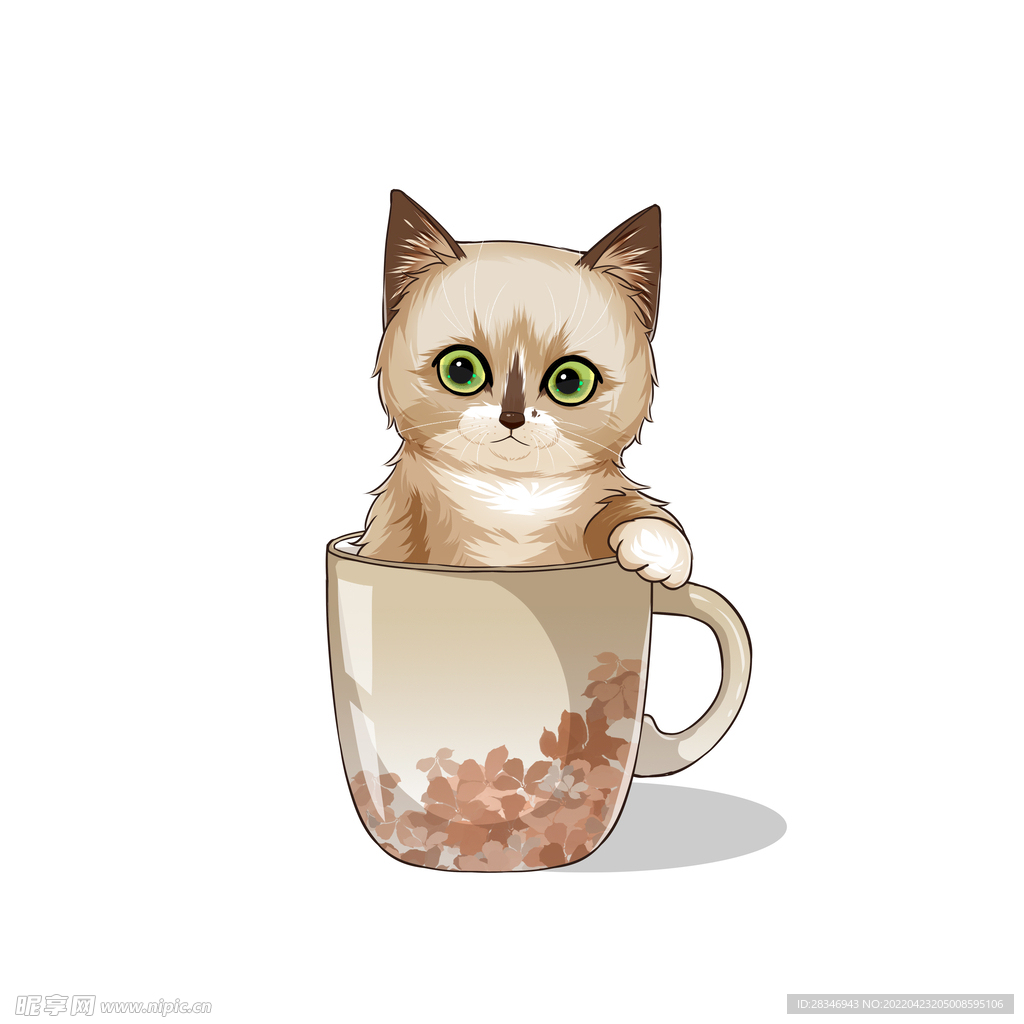 茶杯猫            