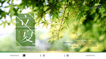 立夏海报