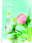 立夏海报
