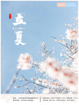 立夏海报