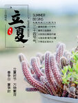立夏海报