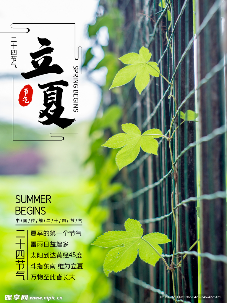 立夏海报