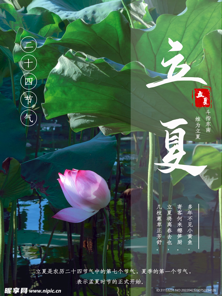 立夏海报
