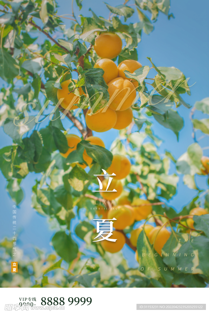 立夏海报