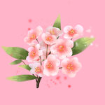桃花花朵