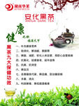 安华黑茶  茶文化